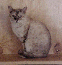 Crystal Bell